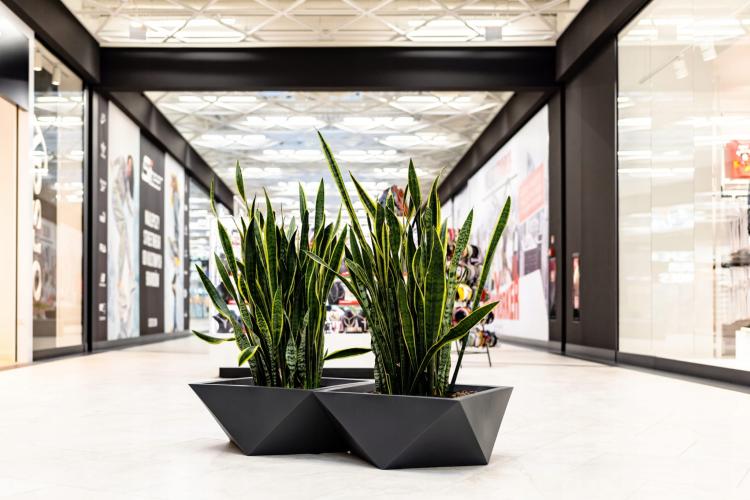 b72e96a609c594f0c957245eec68b2be