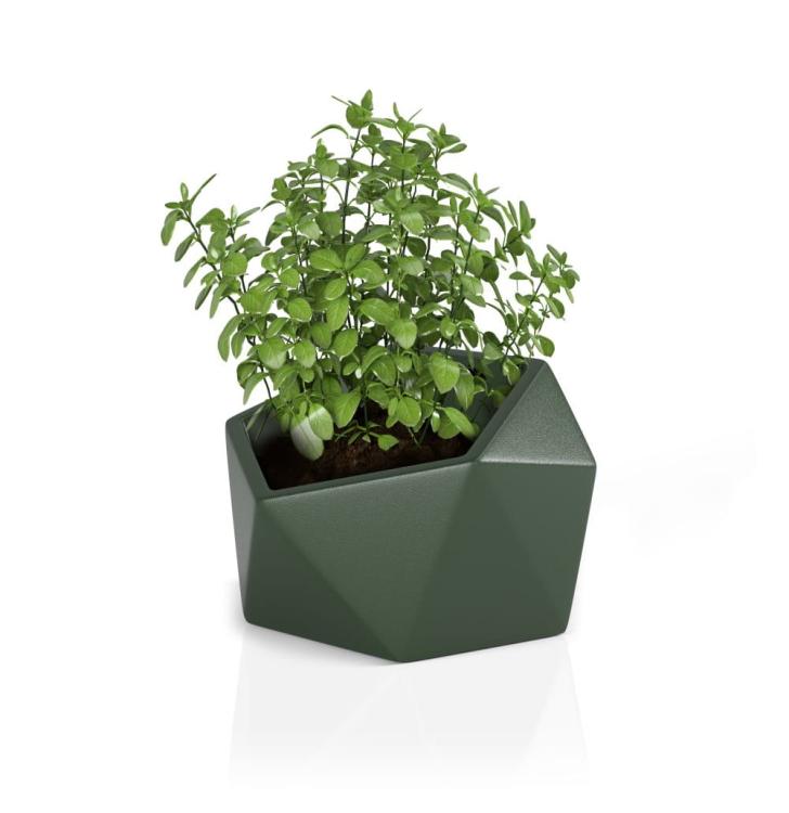 8d2d99f5bc5c3f3dd9ff9d520683e06f