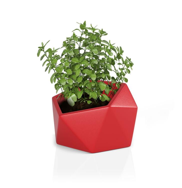 44bee6fd0c53fc03009e0e86b7cfa80c