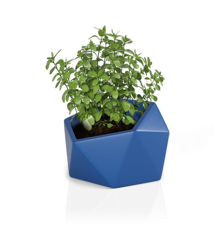 ec3b4bc2b0a6367392eee310bdd5a9e9