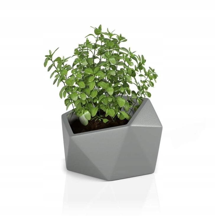 359fb806a3bcc33d5aedab1590725dd1