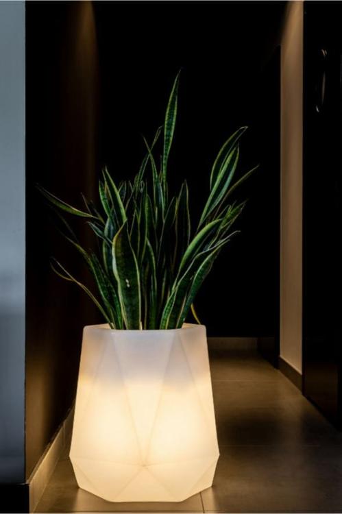 8230ce29112c4b193c3ad7ef33b8920d