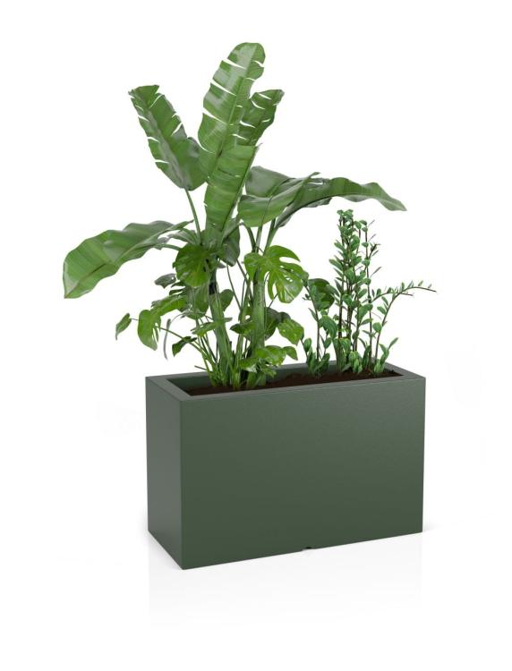 805ceca59b7e3ca99ad03f726f0c904d