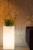 Wysoka-donica-podswietlana-do-salonu-Monumo-Tower-Pot-Light.jpg