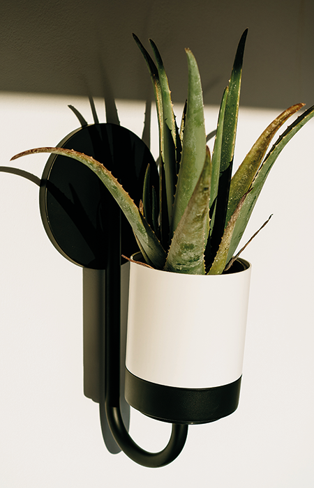 Kwietnik wiszący Bloomie Hanger IKBH800 w kształcie walca