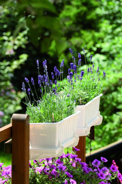 Zestaw doniczek balkonowych IS6CAN z uchwytami i keramzytem