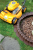 Happy_Grass_IHAP1_R222_aranz.png