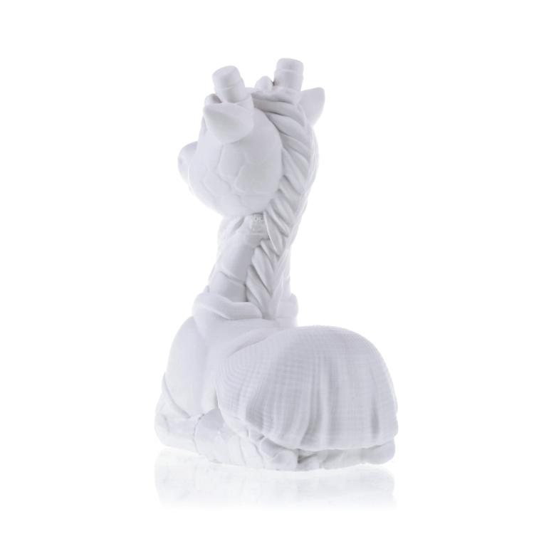 FUNNY_GIRAFFE_IMAGE_1_B.jpg