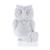 FUNNY_OWL_IMAGE_1_A.jpg