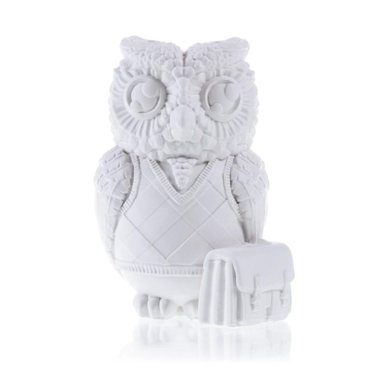 FUNNY_OWL_IMAGE_1_A.jpg