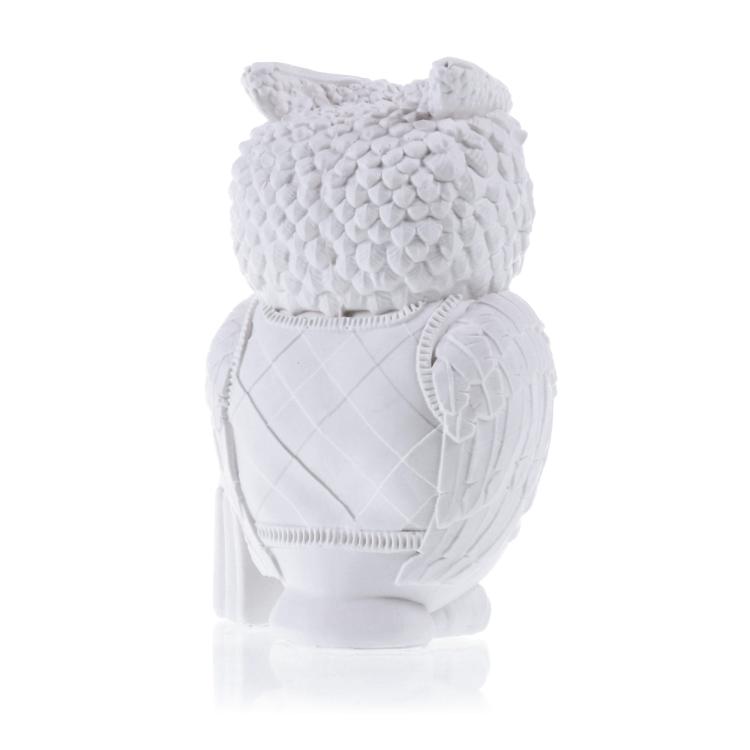 FUNNY_OWL_IMAGE_1_B.jpg