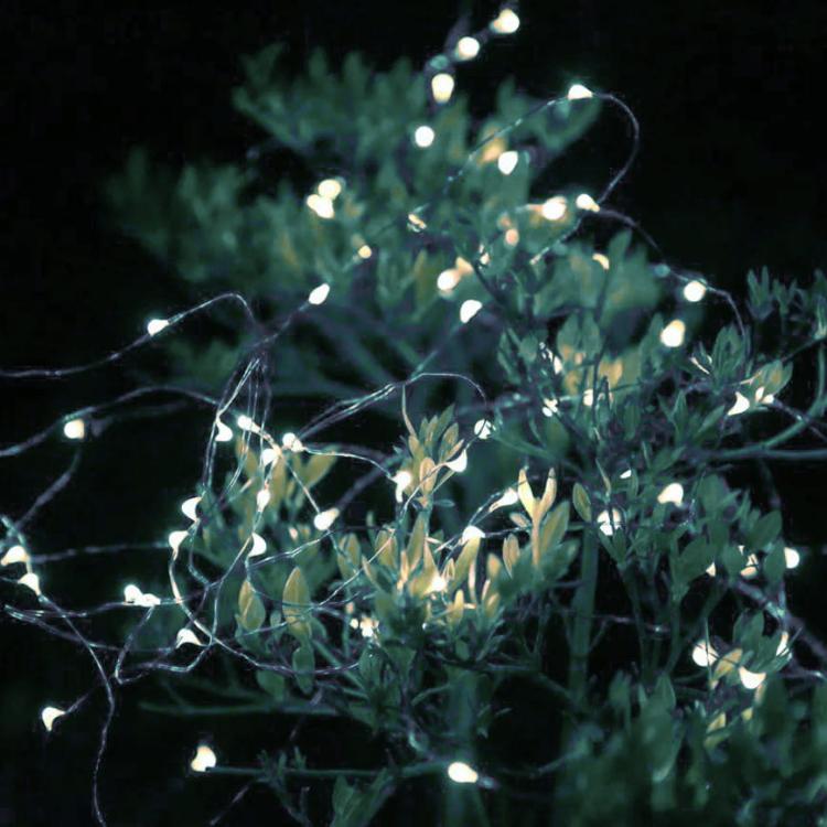 c02163d4196ba28b0a79294454174a58