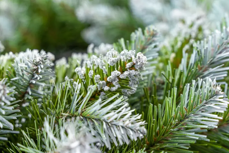 Wianek na drzwi świateczny duży 54 cm