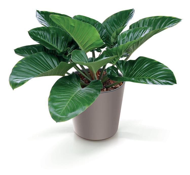 Doniczka okrągła niska URBI DURO300 z wkładem, biała