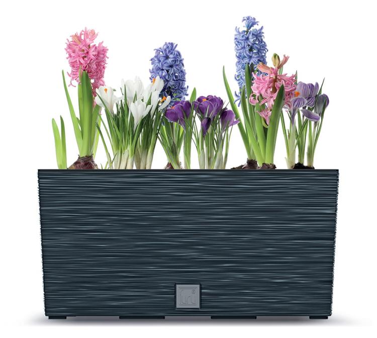 52dac8792bd584b0db92d0b62d8ef6fa