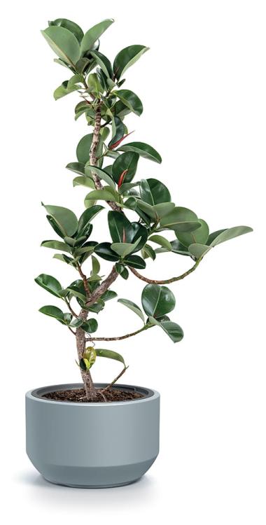 Doniczka okrągła HEOS DLHEW400 z wkładem