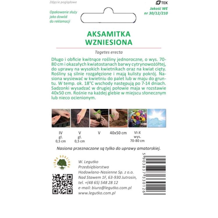 Aksamitka wzniesiona - cytrynowo-żółta 1g, nasiona