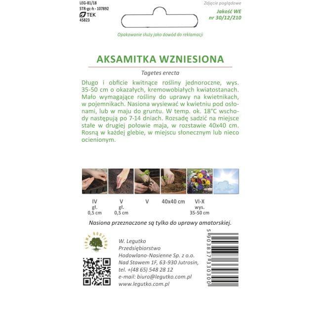 Aksamitka wzniesiona - kremowo-biała, nasiona 0,30 g