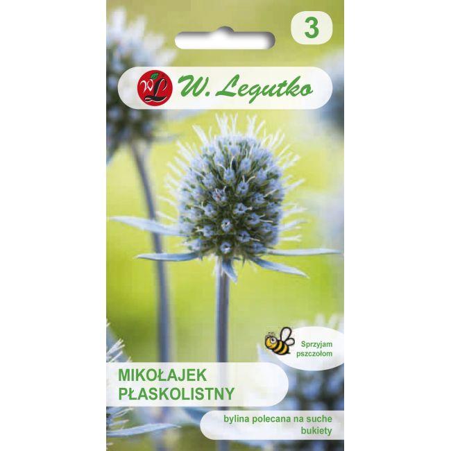 Mikołajek płaskolistny sinoniebieski, nasiona 0,30 g