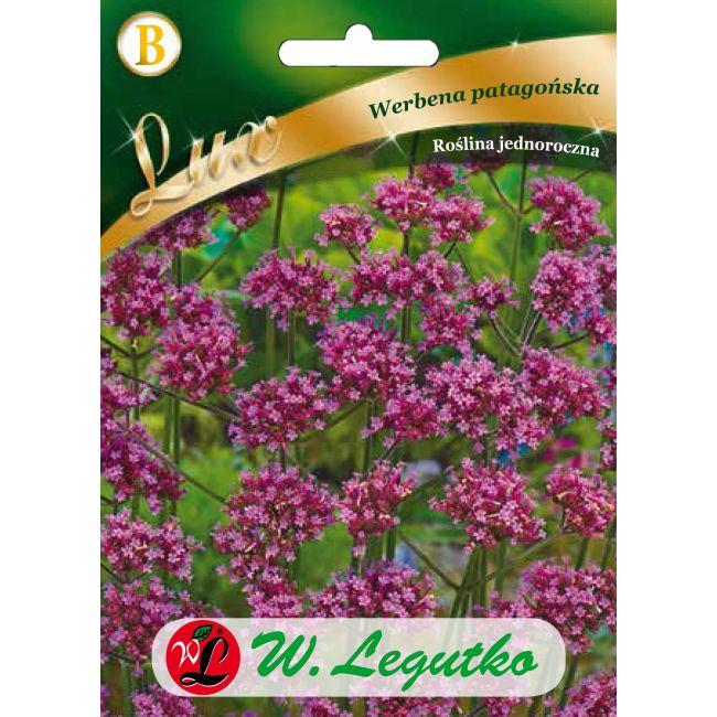 Werbena patagońska - liliowa, nasiona 30g