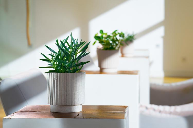 Doniczka okrągła Mika Cyli Petit