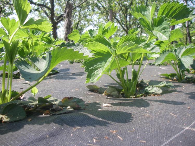 5902e567492dad4957481f004d3f0a1b