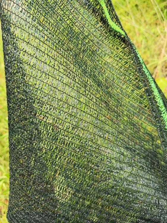 0e0f0e05304d17bcaa0d3459e6350ec5