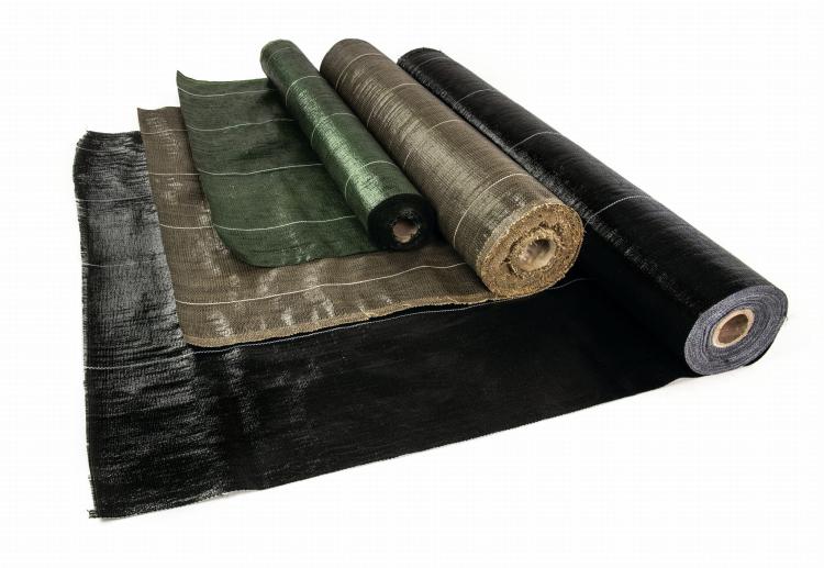 24dac139bc44786efb5b97430999a9bb