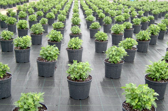 760f200d37f010db549c986dd3373ed2