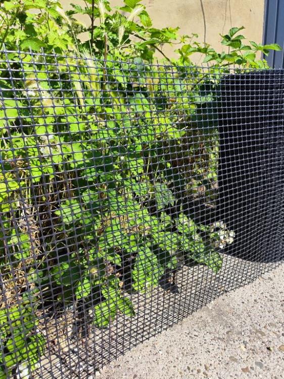 cf96962eabee84380418ac1be8722f05