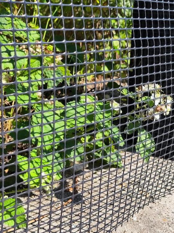 f5b9b5f9811bebdcd90d8217a60b3298