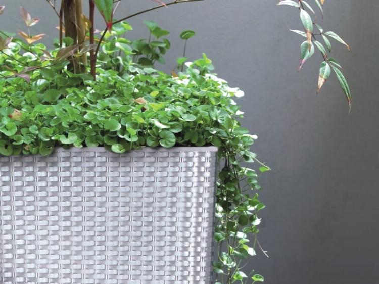 Doniczka wysoka rattan RATO DRTS265 z wkładem