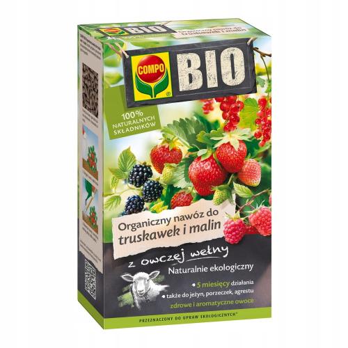 2baab8735f92de9f0982b2c8b9b65342