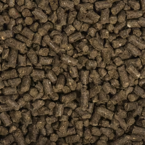 50c9a00f4ebf5fb4efb7b4a07128e8c6