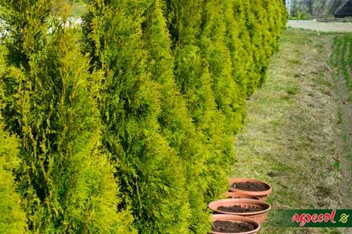 4943efd213d80f7db18150493b5259bc