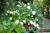 16066b315a83ec4ba07afe7b2342dd20