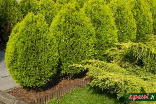 a8450eb734948224d4679bff130e5b01