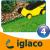 96d55bda0edea6751d88851f475fd1c2