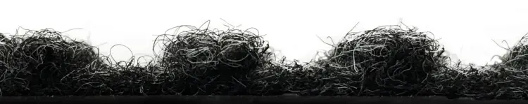 4af206cd946725b86e8c7c029aebeb31