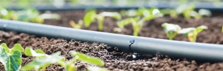 ddc9b64de06c32a6def31cb02a87ebe6