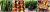 b0a6681e3ccb140eb52222d289418b3b