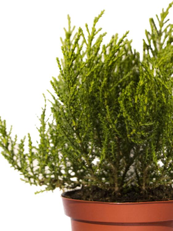 a3413032a692324616a4f709093b92d5