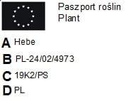 ff97be896d45a8e36321932b20bb5316