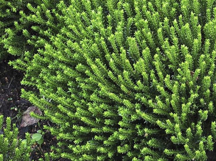 df937e553f5aa2dbed9587b83b12627e