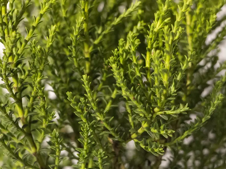 7c8e2a13ee2578a620d711b8493ee573