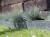 bd51067d731c2188224fabac5aa8e336