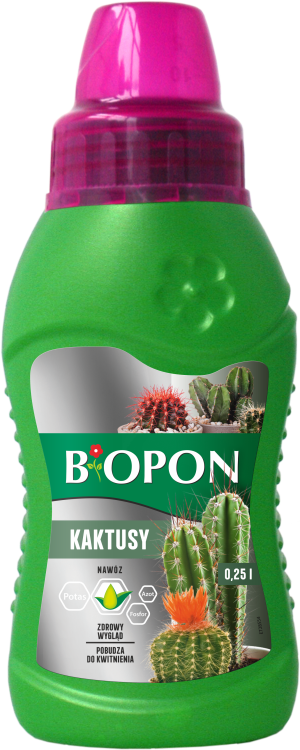 Kaktus 0,25 l