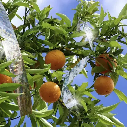 taśma holograficzna na ptaki