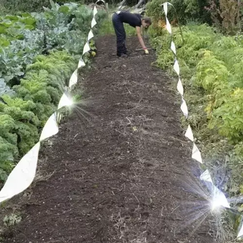 taśma holograficzna na ptaki