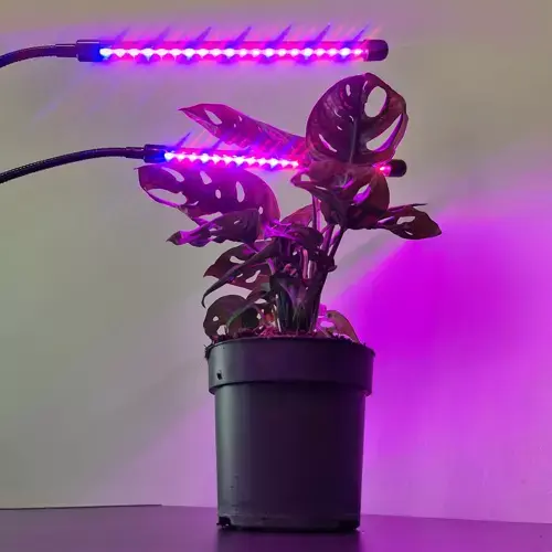 lampa led do uprawy roślin